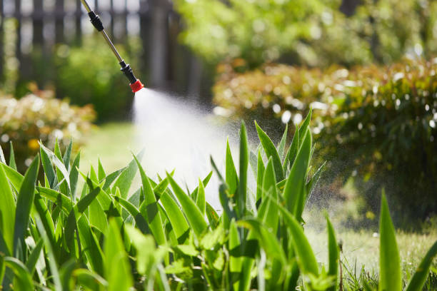 24/7 Emergency Cockroach Control experts in Pontotoc, MS