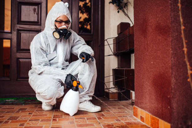 Reliable Cockroach Control contractor in Pontotoc, MS by Nex Pest Control