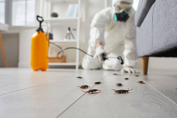 Affordable Cockroach Control solutions in Pontotoc, MS